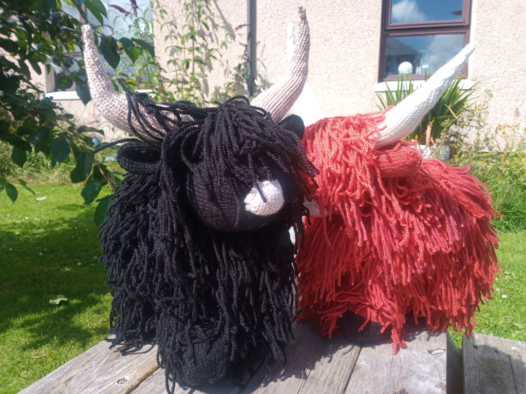 Large shaggy highland cows  - Rust  image 2