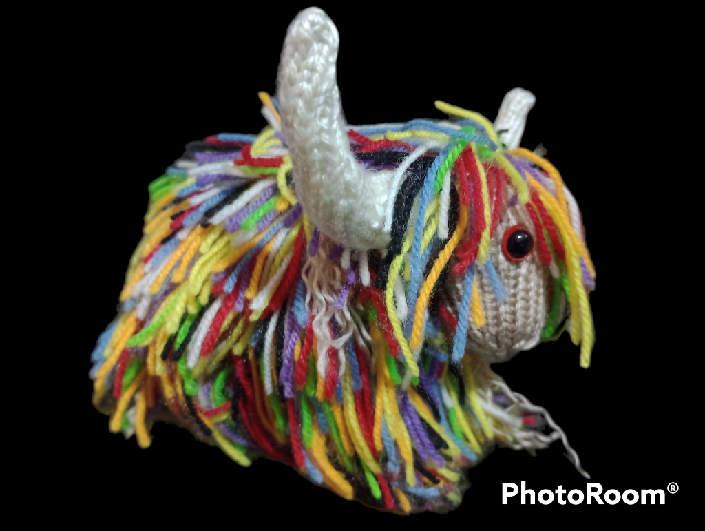 Mini shaggy highland cows  - Rust  image 4