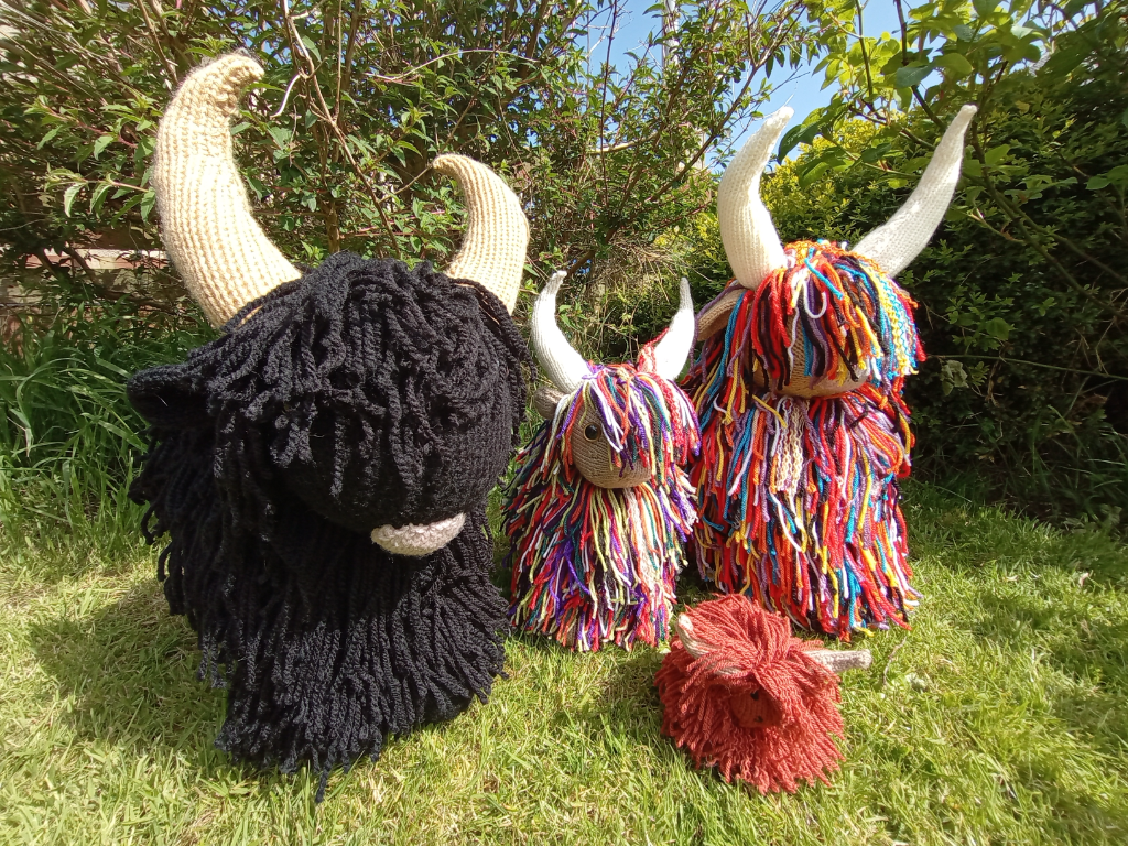 Large shaggy highland cows  - Rust  image 4