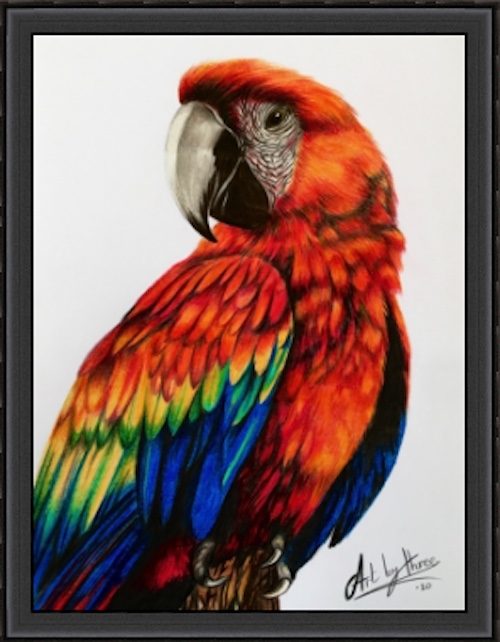 undefined image 5