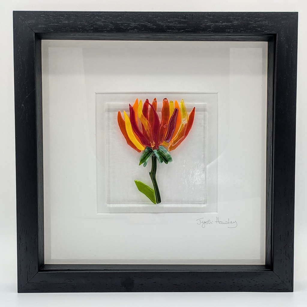 Daliah Pictures In Black Box Frame  image 4